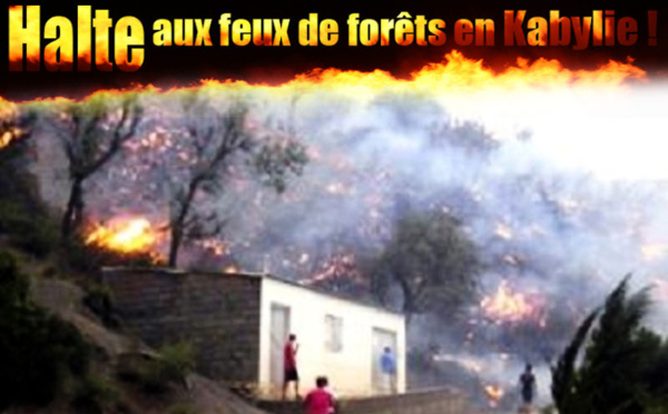 Pétition contre la politique de la terre brûlée excercée par le pouvoir algérien en Kabylie