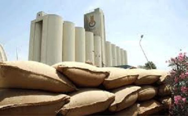 Algérie : les importations de blé en hausse de 128,1% en 2011