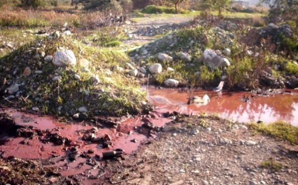 Souk El Tenine (Vgayet) : les huileries polluent Assif Agrioun