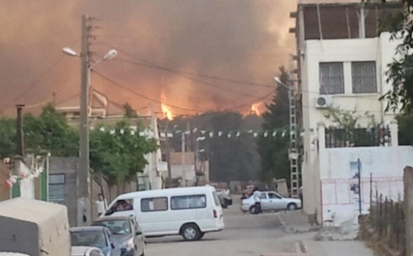 « Militaires algériens pyromanes » : Ferhat Mehenni écrit aux instances internationales