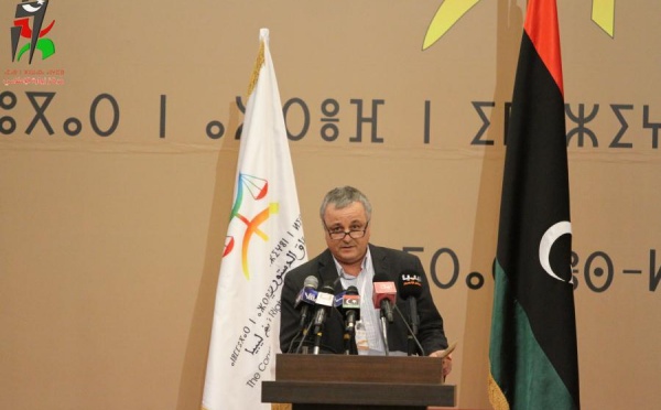 Mali/Azawad : des députés européens appellent à un processus démocratique crédible au Mali