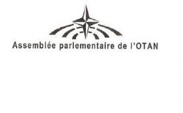Assemblée parlementaire de l’OTAN : Des "élus du peuple" pour représenter l’Algérie
