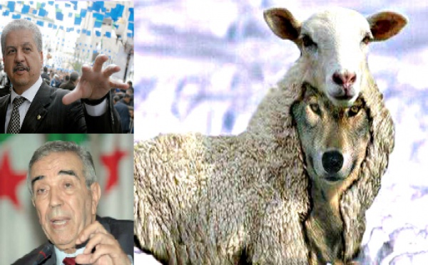 Algérie : Les 300 prénoms amazighs autorisés seront désormais transcris en arabe !