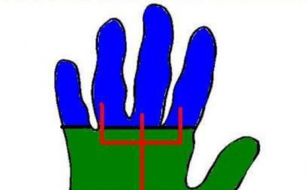 En prévision d'une large mobilisation, les initiateurs du « déjeuner public»  se disent confiant tandis que l'ODH de Tizi-Ouzou appelle le Wali de Tizi-Ouzou à prendre ses responsabilités