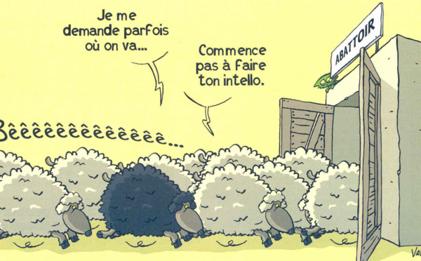 Souama : un groupe de citoyens appellent les comités de village et les intellectuels kabyles à la mobilisation contre les visées dévastatrices du régime algérien