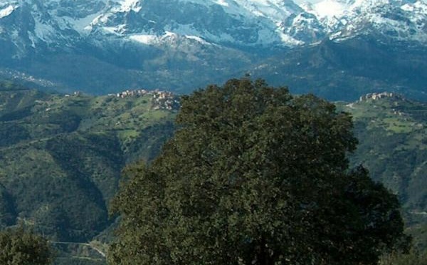 Par Sakina Ait Hmed :« Quel avenir pour la Kabylie? »