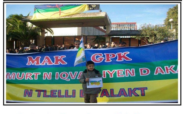 Des blessés du printemps noir soutiennent la marche du 27 avril