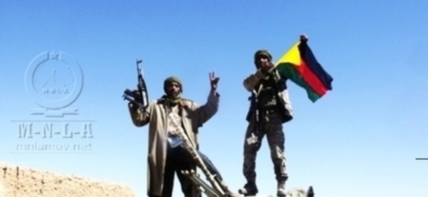 La jeunesse Imajaghan de Ménaka se rallie officiellement au MNLA