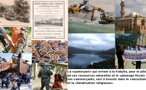 Spoliation des ressources naturelles kabyles : Comme l’eau et le sable, le liège ne profite pas à la Kabylie