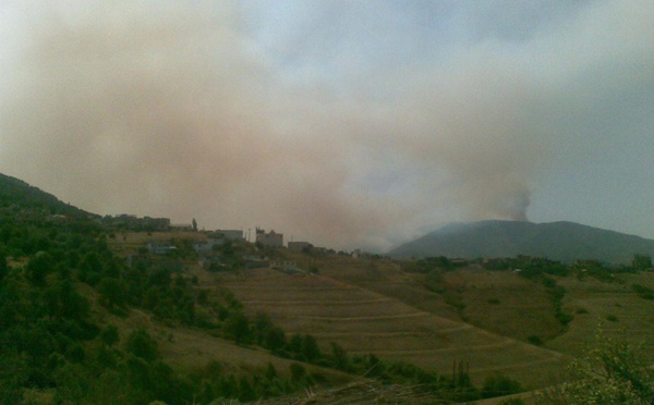 Kabylie : Incendie gigantesque dans la forêt de Sidi Ali Bounab