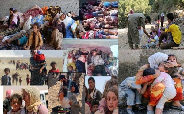 L'ONU accuse l'Etat islamique(Daech) de « tentative » de génocide