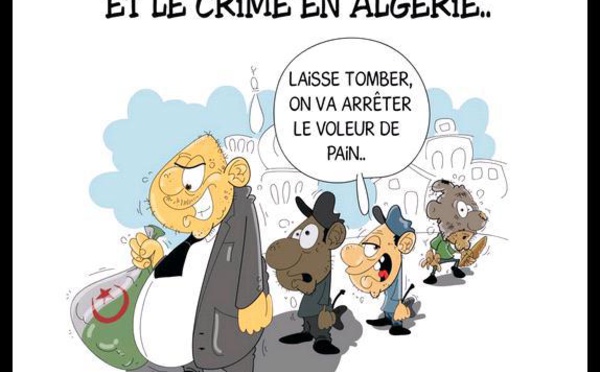 Des parcelles de terres de Kabylie distribuées aux « Directeur de campagne du président Bouteflika »