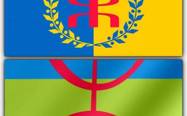 Vive le drapeau kabyle  qui flottera à côté du drapeau Amazigh: Contribution de Kahina Taqvaylit