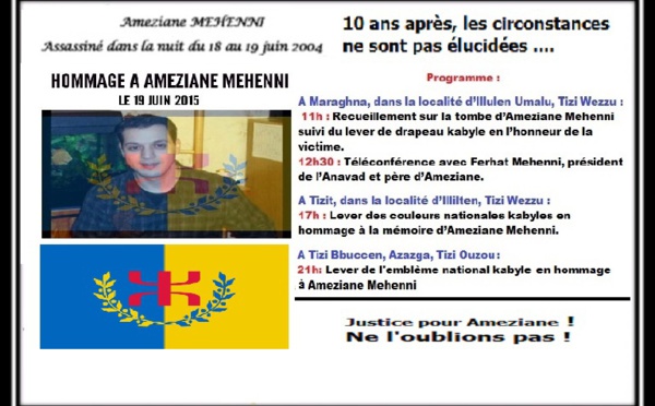 Ameẓyan Mhenni: Ameɣras n tlelli n uɣref aqvayli