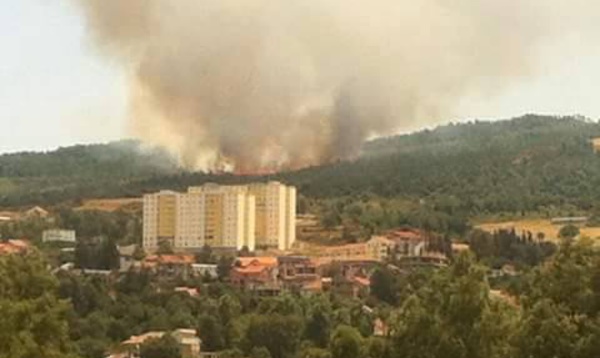 Un feu de forêt à Iɛekkuren menace l’hôpital d'Iɛeẓẓugen