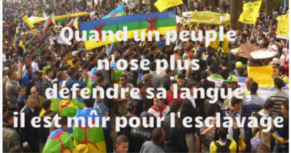 Ministère de la Langue et de la Culture kabyles : Création de l’Académie de la langue kabyle