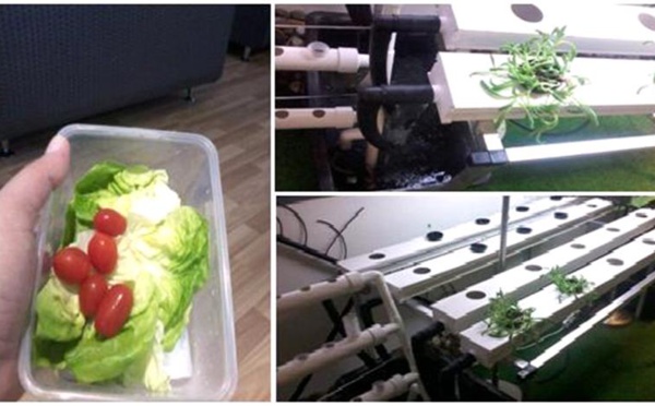 Contribution : " La Kabylie et ses richesses agricoles " par Slimane Hallah