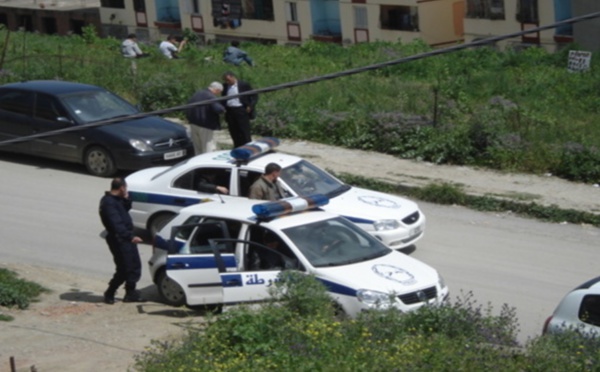 " L'Algérie en Kabylie : Le satrape et le tonton-macoute" contribution d'un groupe de patriotes kabyles