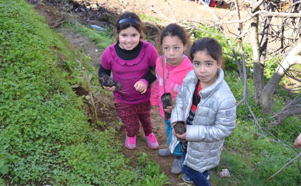 Wihinun / Journée internationale de l'arbre : L'association BRAIN organise une formation au profit des enfants