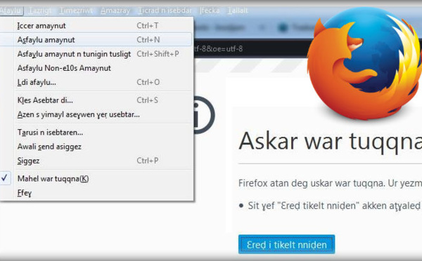 La traduction de contenu numérique en langue Kabyle : Un investissement à faible coût et à forte valeur ajoutée