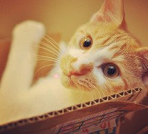 Entourez-vous de talents