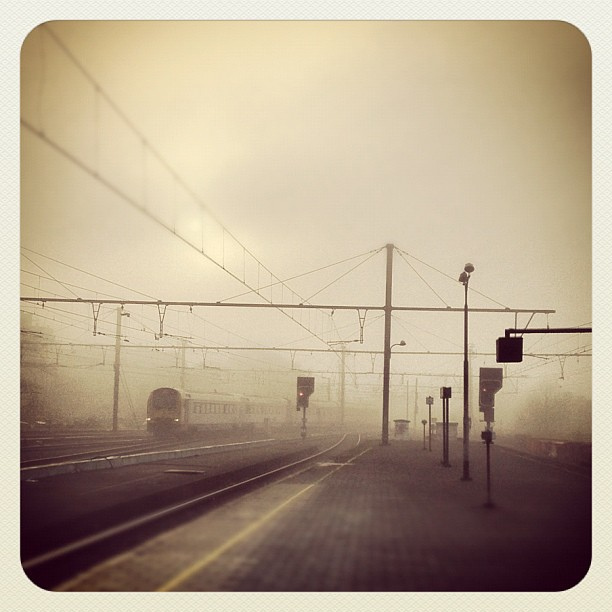 6995898273_80fa765b38_z