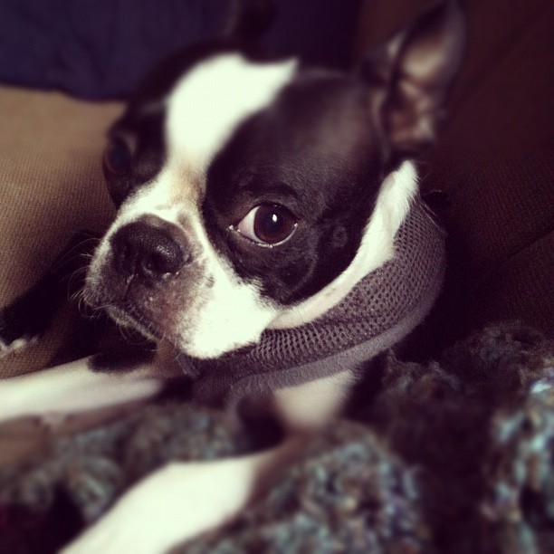 6245971657_0a056c442b_o