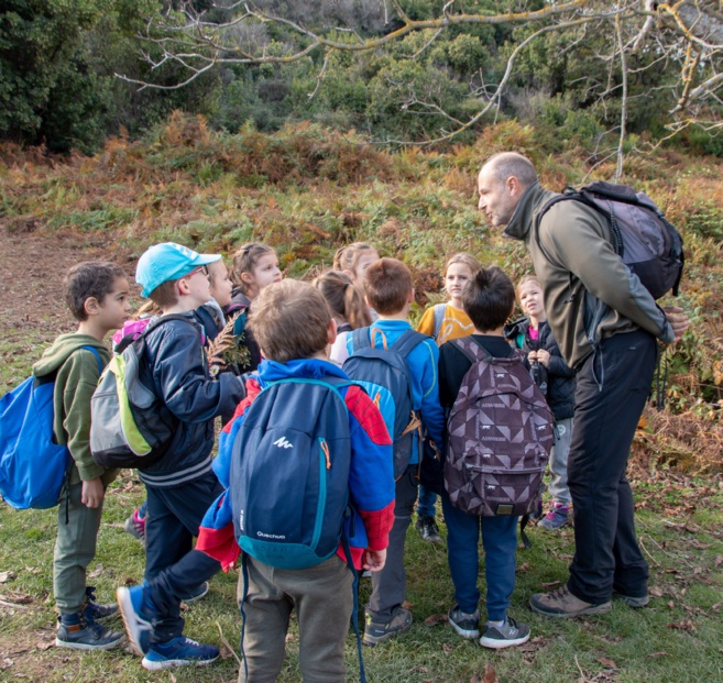GIRANDULATA IN FURIANI CP B