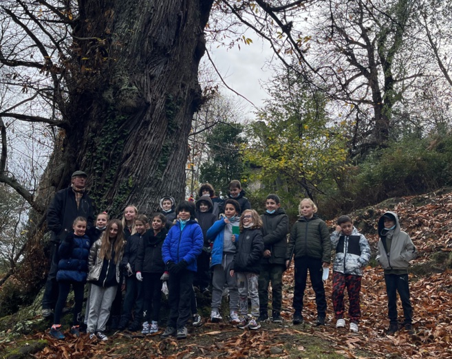 SURTITA CASTAGNICCIA CM1/CM2 2021.2022