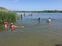 EMBOUCHURE DU GOLO (CE2)