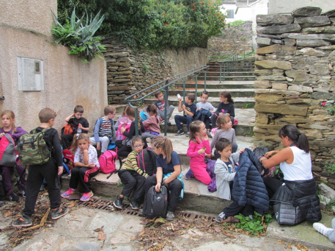 Tamanta cullata! Ci ripusemu appena. Tamanta cullata! Ci ripusemu appena.