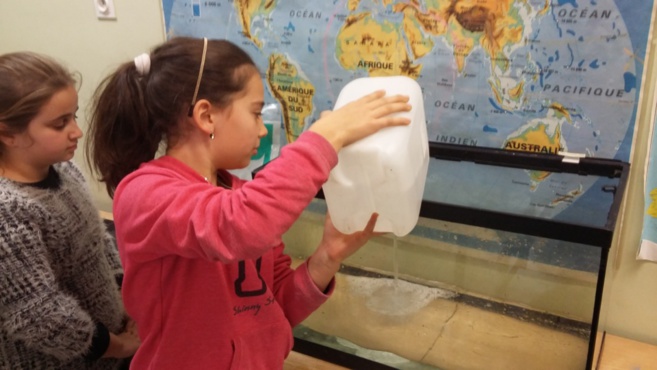 L'ACQUARIUM DI CM1 L'ACQUARIUM DI CM1