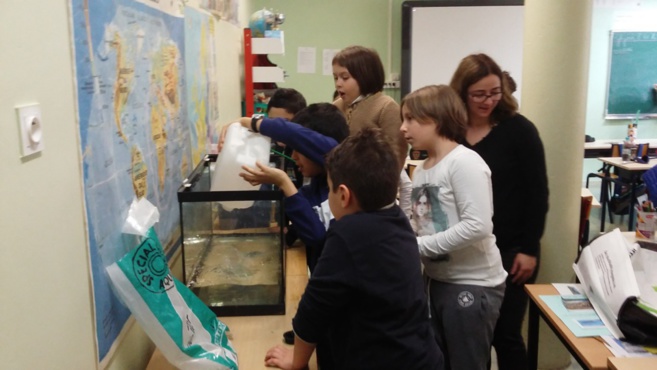 L'ACQUARIUM DI CM1 L'ACQUARIUM DI CM1