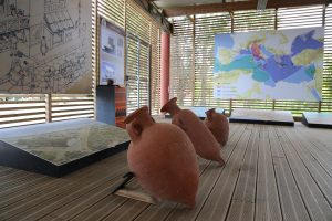 GALEA È L'ESTRUSCHI CM1 È CE1/CM1