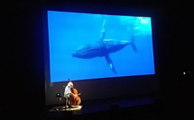 BALEINE ET CONTREBASSE