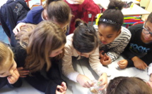 Le blé de l'espérance