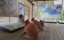 GALEA È L'ESTRUSCHI CM1 È CE1/CM1