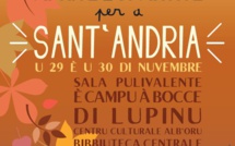 SANT'ANDRIA CM1