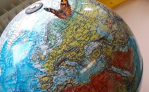 L’ALLEVU DI E FARFALLE CM1