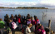 Prugettu « A citadella di Bastia » (3)