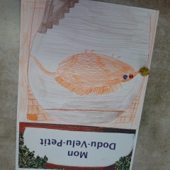 20190110_105759 20190110_105759