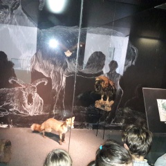 20190219_115009 20190219_115009