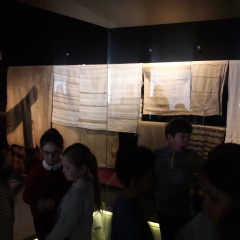 20190219_121832 20190219_121832