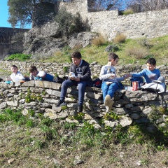 20190219_124715 20190219_124715