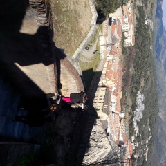 20190219_150428 20190219_150428