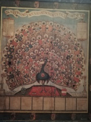 IMG_20190405_111446 IMG_20190405_111446