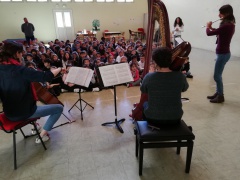 IMG_20190408_104756 IMG_20190408_104756