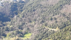 20190409_100203 20190409_100203