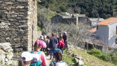 20190409_110132 20190409_110132