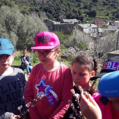 20190409_111943 20190409_111943